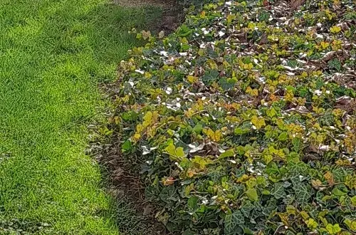 Maison de Retraite Bethlehem