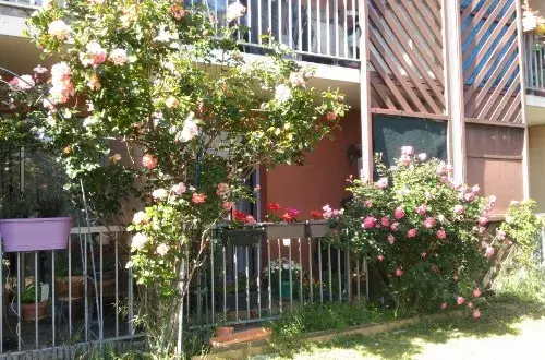 RPA Villa Nova