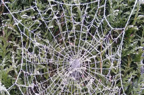 Ehpad L'aubinage accueil pour personne âgée