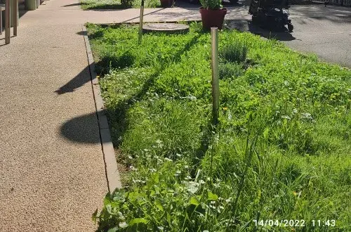 Maison de retraite  La Dame Blanche