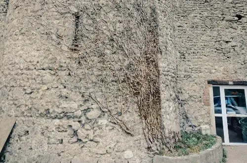 Maison de Retraite les Tilleuls