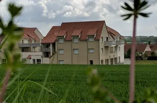 Colocation Ages & Vie