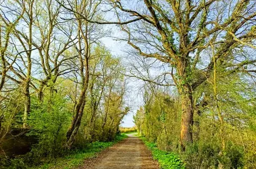 Maison Retraite Saint Charles
