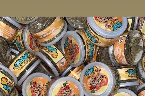 EHPAD les Camoins (Réseau JCM Santé)
