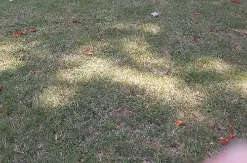 EPMSA  Résidence Montières