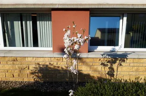 EHPAD La Forêt (Groupe SOS Seniors)