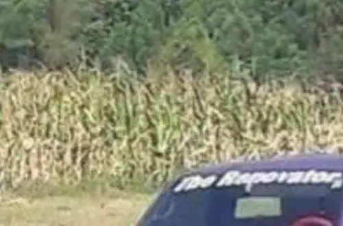 Maison de Retraite Résidence Argenson