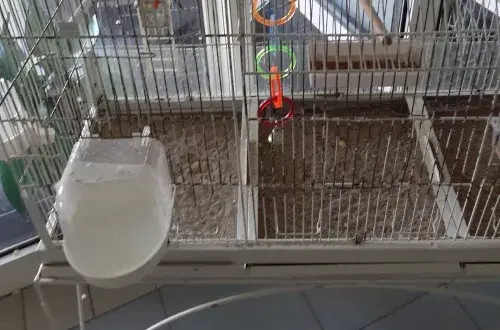 Résidence des Myosotis