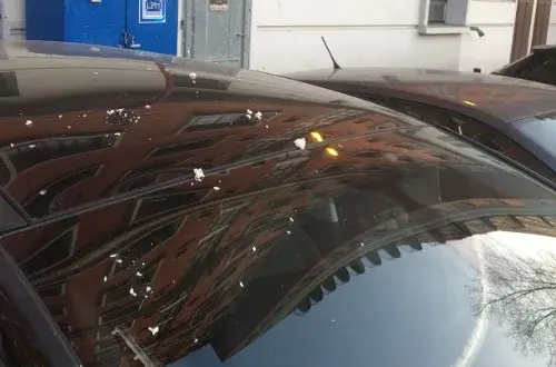 Ehpad Arthur Groussier