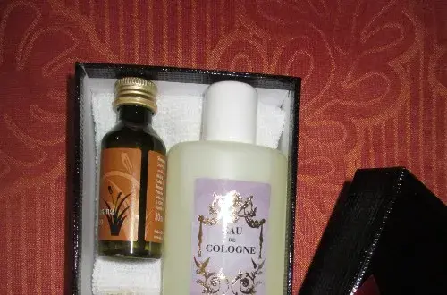 EHPAD/ Maison de retraite les TAMARIS