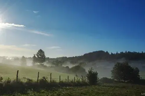 Centre Communal D Action Sociale